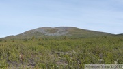 Golden Horn, Whitehorse, Yukon, Canada