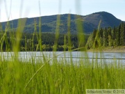 Teslin River, Yukon, Canada