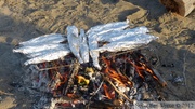 Cuisine (graylings/ombres), Teslin River, Yukon, Canada