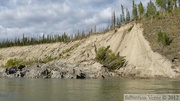 Yukon River, Yukon, Canada