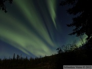 Aurore boréale, Yukon River, Yukon, Canada