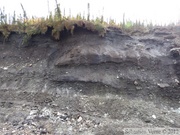 Gold Bottom mine, Hunker Creek, Dawson City, Yukon, Canada