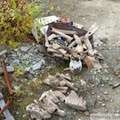 Os et cornes fossilisés, Gold Bottom mine, Hunker Creek, Dawson City, Yukon, Canada