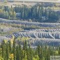 Lit de la Klondike River, défiguré par le passage des dragues du début du XXe siècle, Dawson City, Yukon, Canada