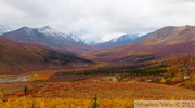 Tombstone Park, Dempster Highway, Yukon, Canada