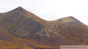 La grande gagnate ! Tombstone Park, Dempster Highway, Yukon, Canada