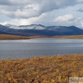 Two mooses lake, Tombstone Park, Dempster Highway, Yukon, Canada