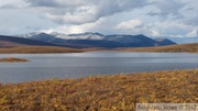 Two mooses lake, Tombstone Park, Dempster Highway, Yukon, Canada