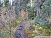 Grizzli Lake trail, Tombstone Park, Yukon, Canada