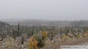 Alaska Highway, Alaska