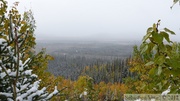 Tetlin National Wildlife Refuge, Alaska Highway, Alaska