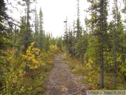 Auriol Trail, Kluane Park, Yukon, Canada