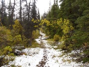 Auriol Trail, Kluane Park, Yukon, Canada