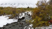 Auriol Trail, Kluane Park, Yukon, Canada