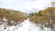 Auriol Trail, Kluane Park, Yukon, Canada