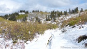 Auriol Trail, Kluane Park, Yukon, Canada