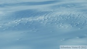 Seward Glacier, Kluane Park, Canada/Alaska, Kluane Glacier Air Tours