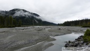 Chilkat River, environs de Haines, Alaska