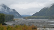Chilkat River, environs de Haines, Alaska