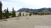 Carcross desert, Klondike highway, Yukon, Canada