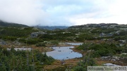 White Pass area, Klondike Highway, British Columbia, Canada