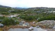 White Pass area, Klondike Highway, British Columbia, Canada