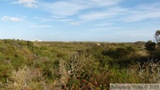 Dunes de La Panne