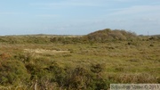 Dunes de La Panne