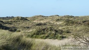 Dunes de La Panne