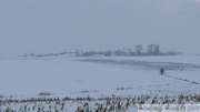 Environs du Mont Kemmel, sous la neige