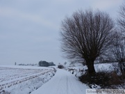 Environs du Mont Kemmel, sous la neige