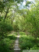 Marais de la Sensée