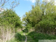 Marais de la Sensée