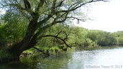 Marais de la Sensée