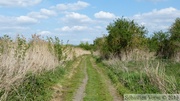 Marais de la Sensée