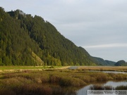 Minnekhada Regional Park and Pitt Lake wildlife management area