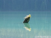 Cheakamus Lake - Septembre 2008