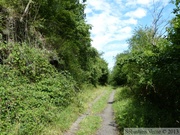 Réserve Naturelle du Heid des Gattes, ancienne carrière du Goiveux 