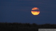 Lever de Lune sur les Dunes de Biville