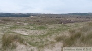 Dunes de Biville