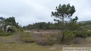 Dunes de Biville