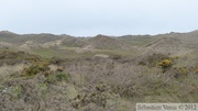 Dunes de Biville