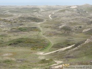 Dunes de Biville