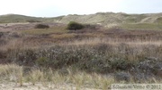 Dunes de Biville