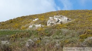 Le sentier du littoral (GR 223)