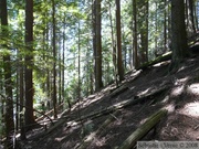 Grouse Grind