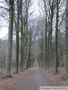 Zillebeke, Groenenburgbos