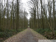 Zillebeke, Groenenburgbos