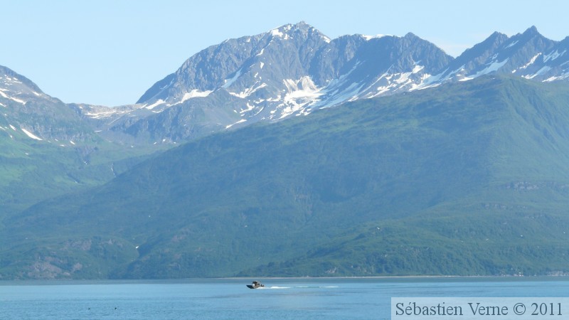 Prince William sound cruise, Alaska