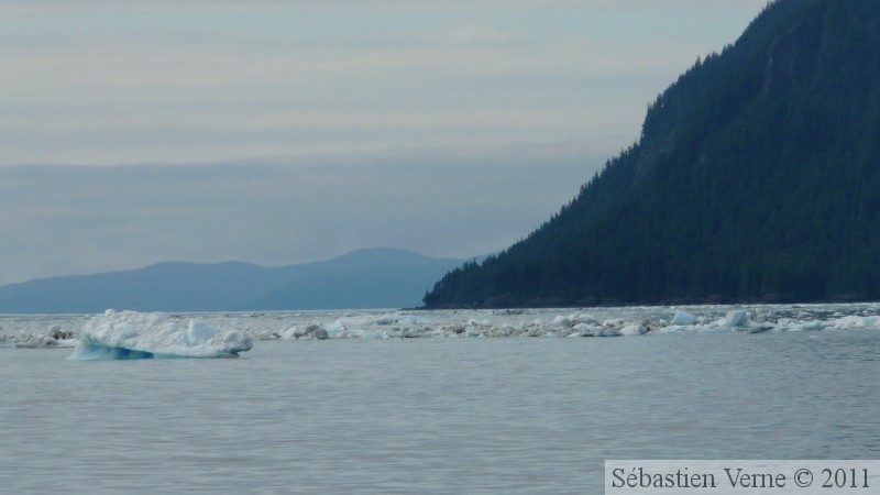 Columbia  bay, Columbia glacier, Prince William sound cruise, Alaska